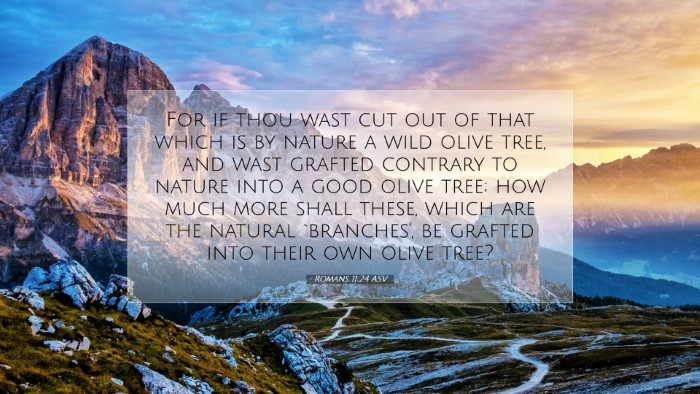 Picture 07 - Romans 11:24 ASV Desktop Wallpaper - For if thou wast cut out of that which is by - Desktop Bible Verse Wallpaper