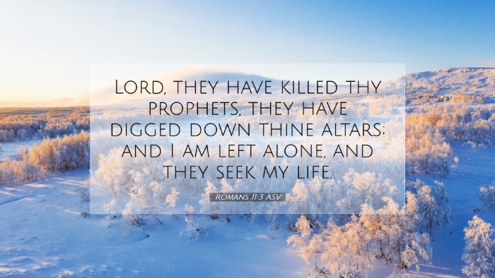 Picture 07 - Romans 11:3 ASV Desktop Wallpaper - Lord, they have killed thy prophets, they have - Desktop Bible Verse Wallpaper