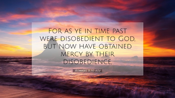 Picture 07 - Romans 11:30 ASV Desktop Wallpaper - For as ye in time past were disobedient to God, - Desktop Bible Verse Wallpaper
