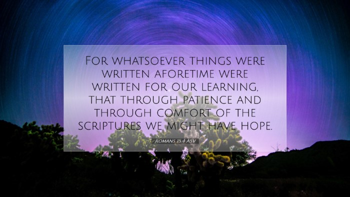 Picture 07 - Romans 15:4 ASV Desktop Wallpaper - For whatsoever things were written aforetime were - Desktop Bible Verse Wallpaper