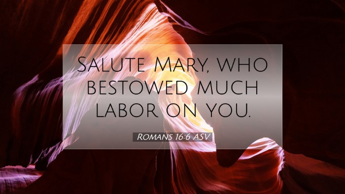 Picture 07 - Romans 16:6 ASV Desktop Wallpaper - Salute Mary, who bestowed much labor on - Desktop Bible Verse Wallpaper