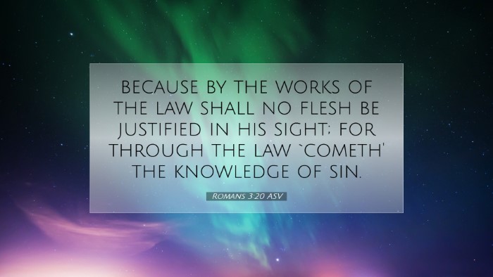 Picture 07 - Romans 3:20 ASV Desktop Wallpaper - because by the works of the law shall no flesh be - Desktop Bible Verse Wallpaper