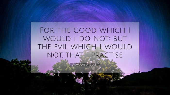 Picture 07 - Romans 7:19 ASV Desktop Wallpaper - For the good which I would I do not: but the evil - Desktop Bible Verse Wallpaper
