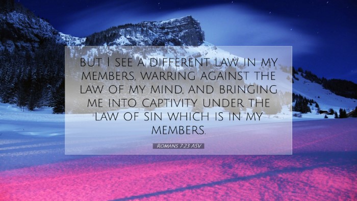 Picture 07 - Romans 7:23 ASV Desktop Wallpaper - but I see a different law in my members, warring - Desktop Bible Verse Wallpaper