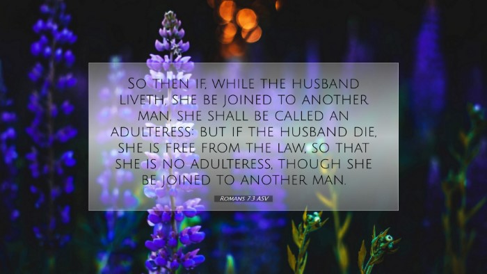 Picture 07 - Romans 7:3 ASV Desktop Wallpaper - So then if, while the husband liveth, she be - Desktop Bible Verse Wallpaper