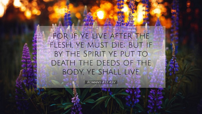 Picture 07 - Romans 8:13 ASV Desktop Wallpaper - for if ye live after the flesh, ye must die; but - Desktop Bible Verse Wallpaper