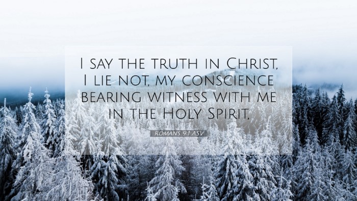Picture 07 - Romans 9:1 ASV Desktop Wallpaper - I say the truth in Christ, I lie not, my - Desktop Bible Verse Wallpaper