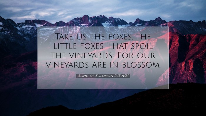 Picture 07 - Song of Solomon 2:15 ASV Desktop Wallpaper - Take us the foxes, the little foxes, That spoil - Desktop Bible Verse Wallpaper