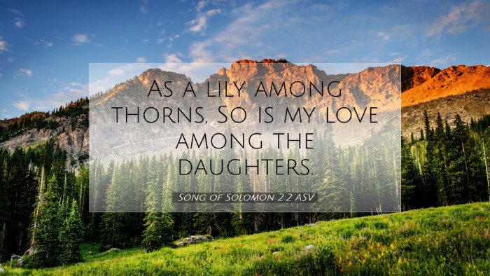 Picture 07 - Song of Solomon 2:2 ASV Desktop Wallpaper - As a lily among thorns, So is my love among the - Desktop Bible Verse Wallpaper