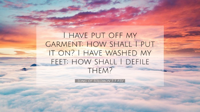 Picture 07 - Song of Solomon 5:3 ASV Desktop Wallpaper - I have put off my garment; how shall I put it on? - Desktop Bible Verse Wallpaper