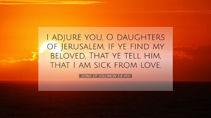 Picture 07 - Song of Solomon 5:8 ASV Desktop Wallpaper - I adjure you, O daughters of Jerusalem, If ye - Desktop Bible Verse Wallpaper
