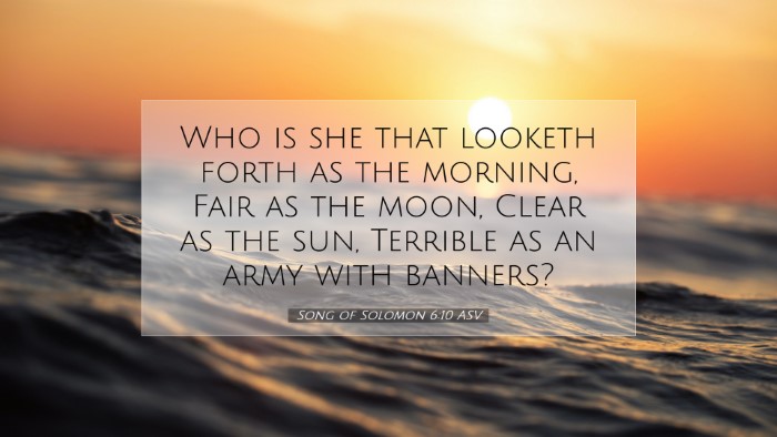 Picture 07 - Song of Solomon 6:10 ASV Desktop Wallpaper - Who is she that looketh forth as the morning, - Desktop Bible Verse Wallpaper