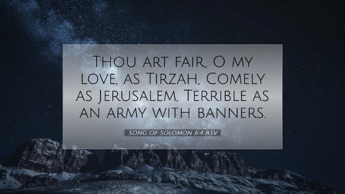 Picture 07 - Song of Solomon 6:4 ASV Desktop Wallpaper - Thou art fair, O my love, as Tirzah, Comely as - Desktop Bible Verse Wallpaper