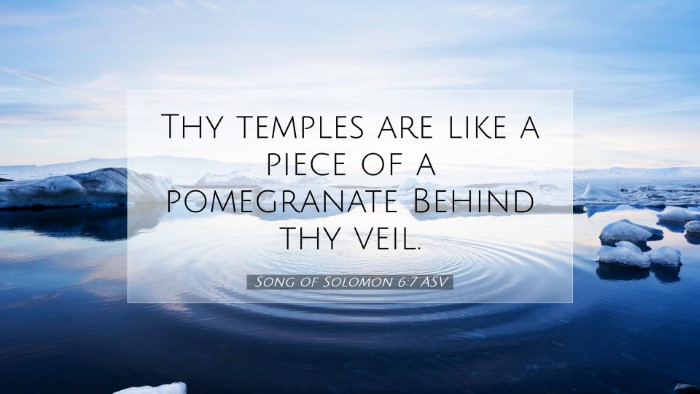 Picture 07 - Song of Solomon 6:7 ASV Desktop Wallpaper - Thy temples are like a piece of a pomegranate - Desktop Bible Verse Wallpaper