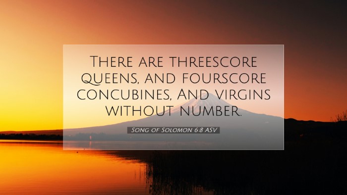 Picture 07 - Song of Solomon 6:8 ASV Desktop Wallpaper - There are threescore queens, and fourscore - Desktop Bible Verse Wallpaper