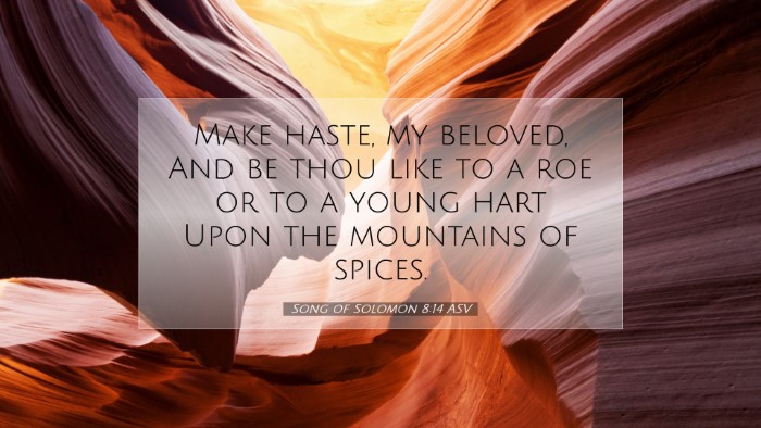 Picture 07 - Song of Solomon 8:14 ASV Desktop Wallpaper - Make haste, my beloved, And be thou like to a roe - Desktop Bible Verse Wallpaper