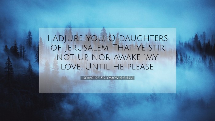 Picture 07 - Song of Solomon 8:4 ASV Desktop Wallpaper - I adjure you, O daughters of Jerusalem, That ye - Desktop Bible Verse Wallpaper