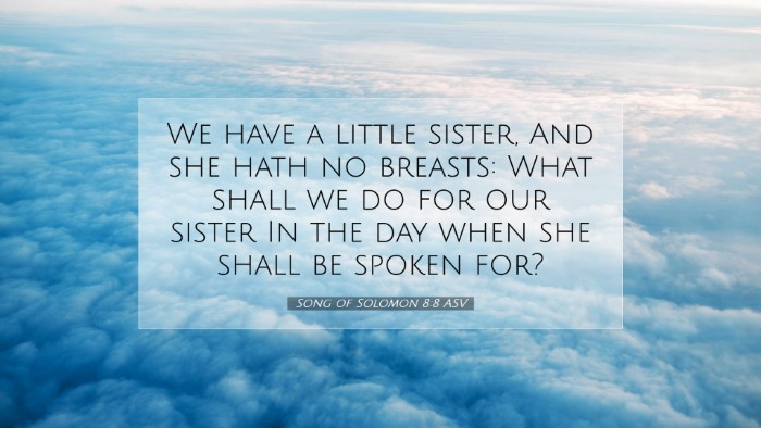 Picture 07 - Song of Solomon 8:8 ASV Desktop Wallpaper - We have a little sister, And she hath no breasts: - Desktop Bible Verse Wallpaper