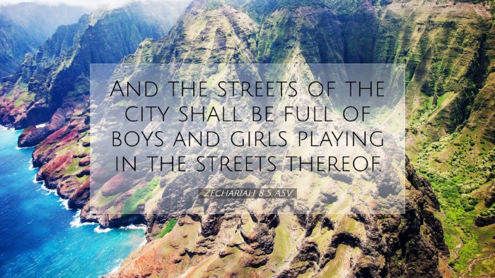 Picture 07 - Zechariah 8:5 ASV Desktop Wallpaper - And the streets of the city shall be full of boys - Desktop Bible Verse Wallpaper