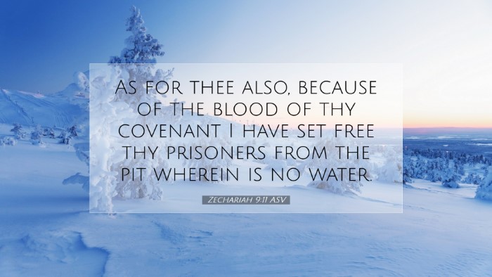 Picture 07 - Zechariah 9:11 ASV Desktop Wallpaper - As for thee also, because of the blood of thy - Desktop Bible Verse Wallpaper