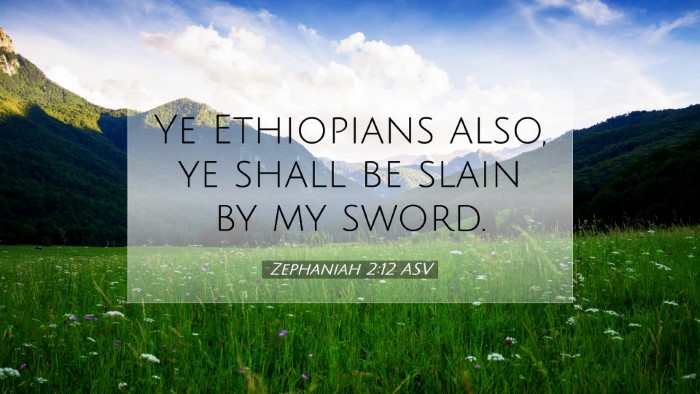 Picture 07 - Zephaniah 2:12 ASV Desktop Wallpaper - Ye Ethiopians also, ye shall be slain by my - Desktop Bible Verse Wallpaper
