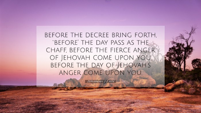 Picture 07 - Zephaniah 2:2 ASV Desktop Wallpaper - before the decree bring forth, `before' the day - Desktop Bible Verse Wallpaper