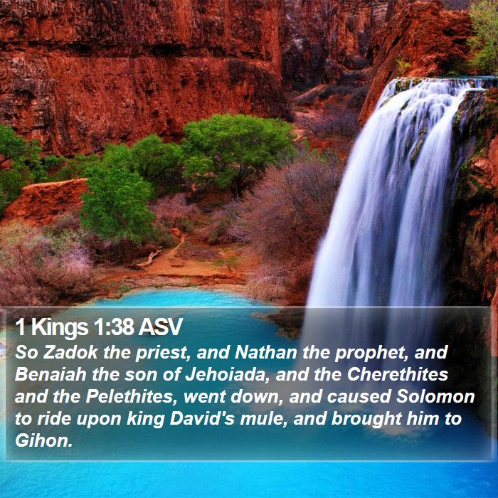 1 Kings 1:38 ASV - So Zadok the priest, and Nathan the prophet, and - Bible Verse Picture