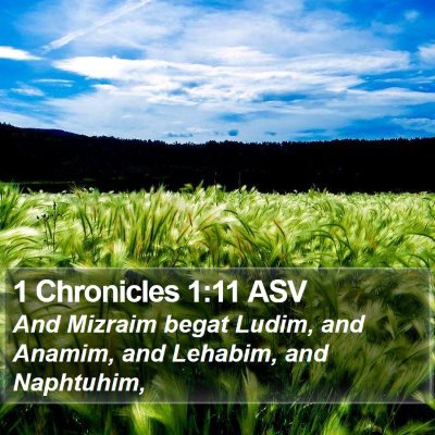 1 Chronicles 1:11 ASV Bible Verse Image