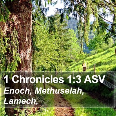 1 Chronicles 1:3 ASV Bible Verse Image