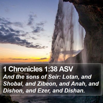 1 Chronicles 1:38 ASV Bible Verse Image
