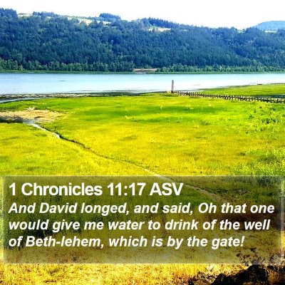 1 Chronicles 11:17 ASV Bible Verse Image