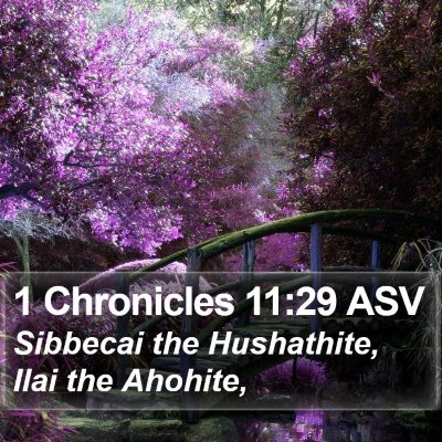 1 Chronicles 11:29 ASV Bible Verse Image