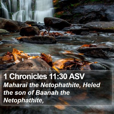 1 Chronicles 11:30 ASV Bible Verse Image