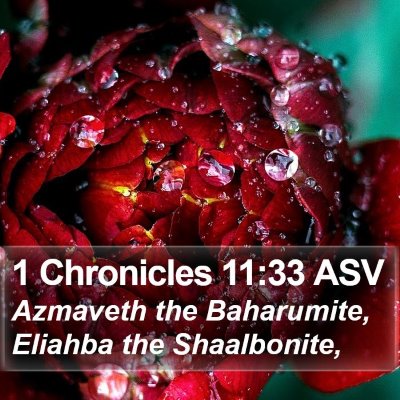 1 Chronicles 11:33 ASV Bible Verse Image