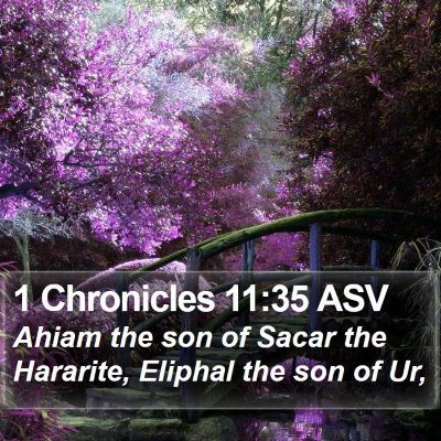 1 Chronicles 11:35 ASV Bible Verse Image