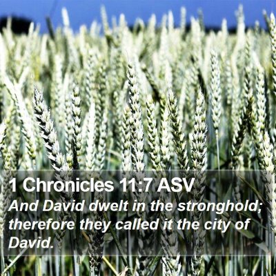 1 Chronicles 11:7 ASV Bible Verse Image