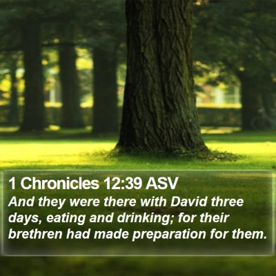 1 Chronicles 12:39 ASV Bible Verse Image