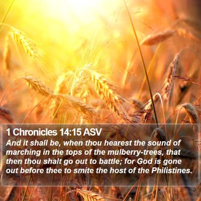 1 Chronicles 14:15 ASV Bible Verse Image