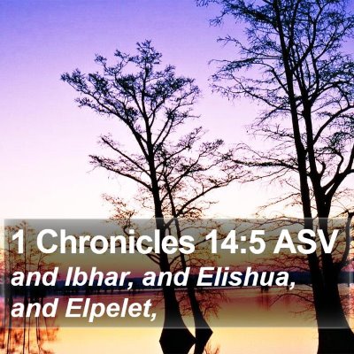 1 Chronicles 14:5 ASV Bible Verse Image