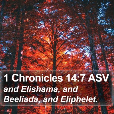 1 Chronicles 14:7 ASV Bible Verse Image