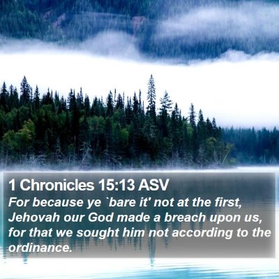 1 Chronicles 15:13 ASV Bible Verse Image