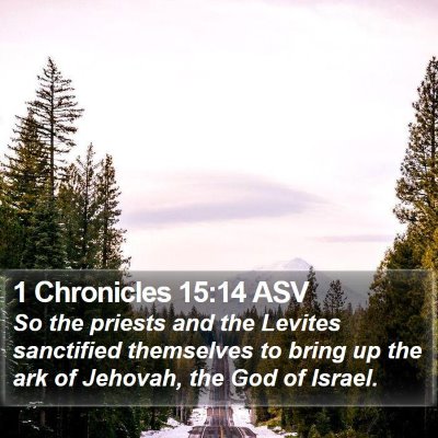 1 Chronicles 15:14 ASV Bible Verse Image