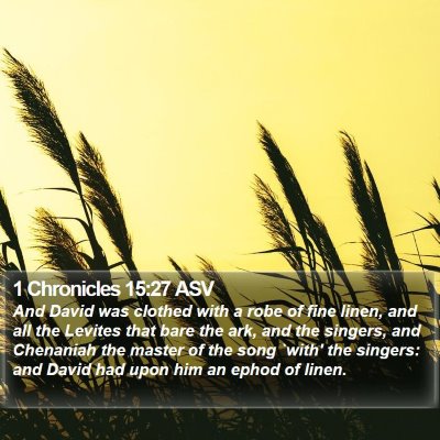 1 Chronicles 15:27 ASV Bible Verse Image