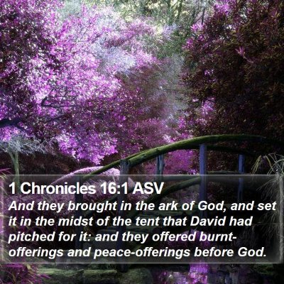 1 Chronicles 16:1 ASV Bible Verse Image