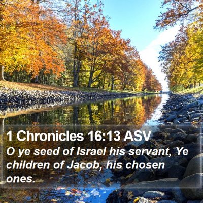 1 Chronicles 16:13 ASV Bible Verse Image