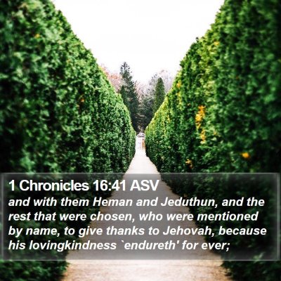1 Chronicles 16:41 ASV Bible Verse Image