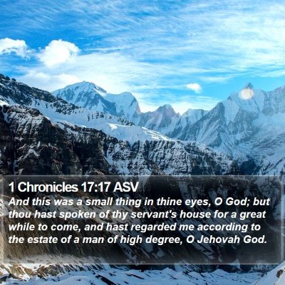 1 Chronicles 17:17 ASV Bible Verse Image