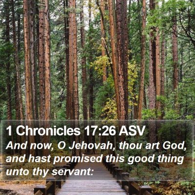 1 Chronicles 17:26 ASV Bible Verse Image