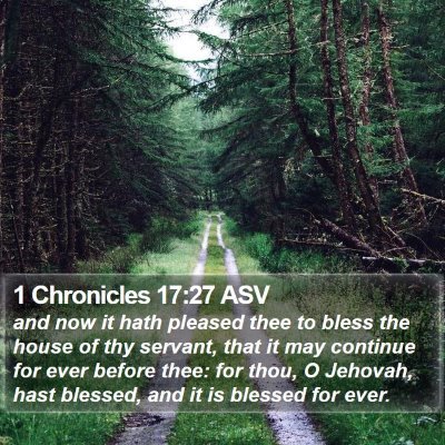1 Chronicles 17:27 ASV Bible Verse Image