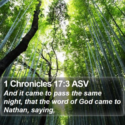 1 Chronicles 17:3 ASV Bible Verse Image